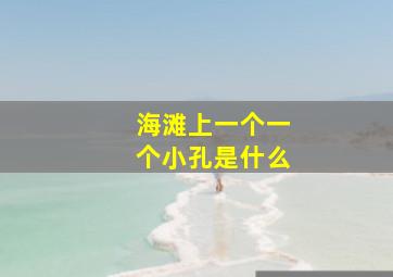 海滩上一个一个小孔是什么