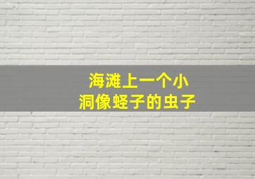 海滩上一个小洞像蛏子的虫子