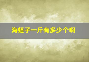 海蛏子一斤有多少个啊