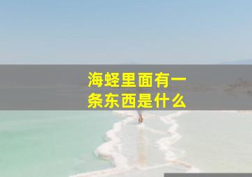 海蛏里面有一条东西是什么