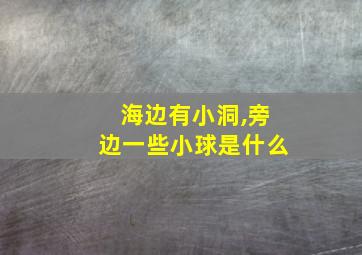 海边有小洞,旁边一些小球是什么