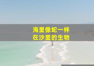 海里像蛇一样在沙里的生物