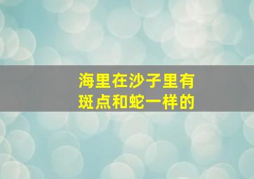 海里在沙子里有斑点和蛇一样的