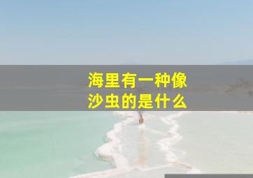 海里有一种像沙虫的是什么