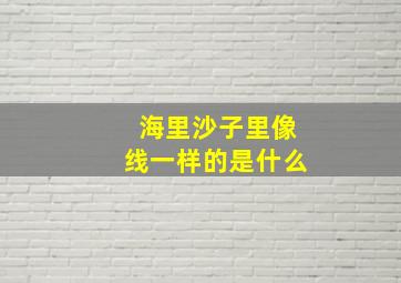 海里沙子里像线一样的是什么