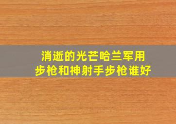 消逝的光芒哈兰军用步枪和神射手步枪谁好