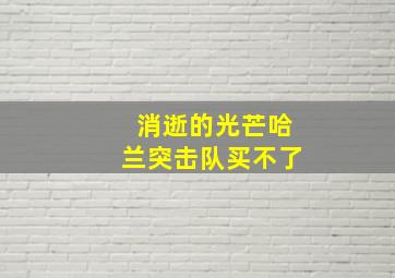 消逝的光芒哈兰突击队买不了