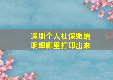 深圳个人社保缴纳明细哪里打印出来