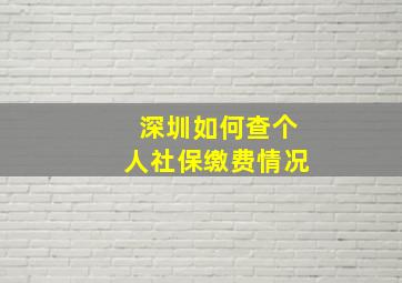 深圳如何查个人社保缴费情况