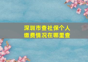 深圳市查社保个人缴费情况在哪里查