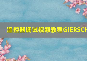 温控器调试视频教程GIERSCH