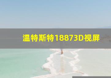 温特斯特18873D视屏