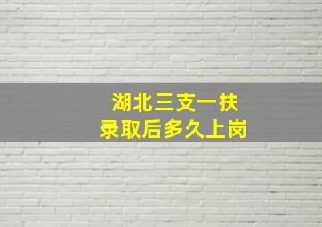 湖北三支一扶录取后多久上岗