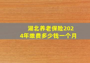 湖北养老保险2024年缴费多少钱一个月