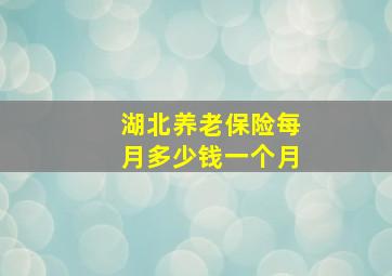 湖北养老保险每月多少钱一个月