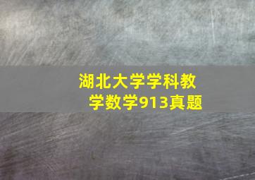 湖北大学学科教学数学913真题