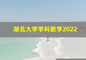 湖北大学学科数学2022