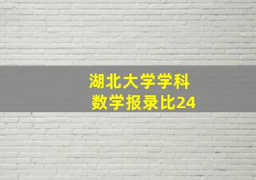 湖北大学学科数学报录比24