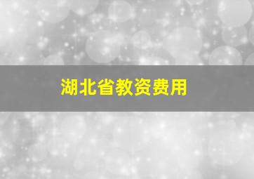 湖北省教资费用