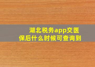 湖北税务app交医保后什么时候可查询到