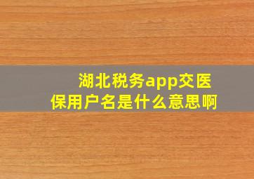 湖北税务app交医保用户名是什么意思啊