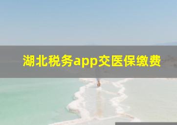 湖北税务app交医保缴费