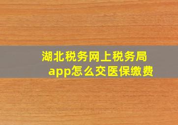 湖北税务网上税务局app怎么交医保缴费