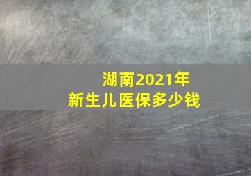 湖南2021年新生儿医保多少钱