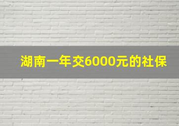 湖南一年交6000元的社保