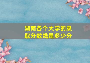 湖南各个大学的录取分数线是多少分