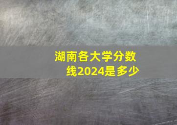 湖南各大学分数线2024是多少