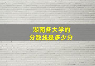 湖南各大学的分数线是多少分