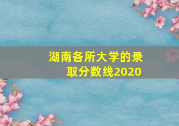 湖南各所大学的录取分数线2020