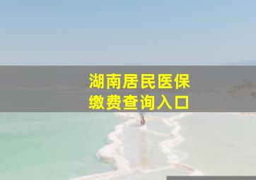 湖南居民医保缴费查询入口