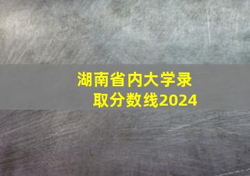 湖南省内大学录取分数线2024