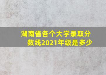 湖南省各个大学录取分数线2021年级是多少