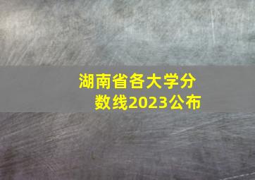 湖南省各大学分数线2023公布