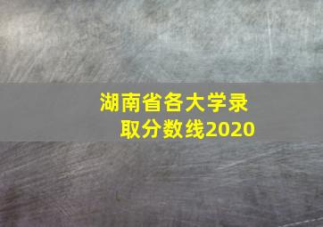 湖南省各大学录取分数线2020