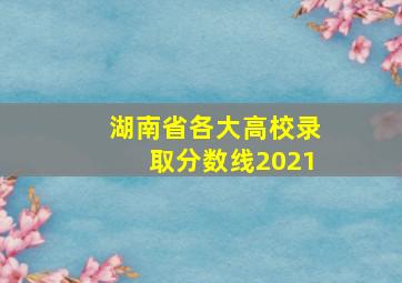 湖南省各大高校录取分数线2021