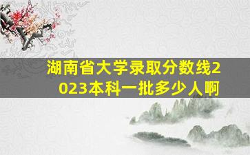 湖南省大学录取分数线2023本科一批多少人啊