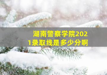 湖南警察学院2021录取线是多少分啊