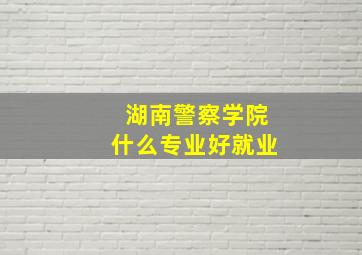 湖南警察学院什么专业好就业