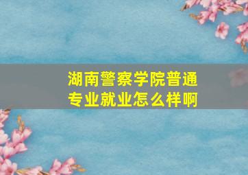 湖南警察学院普通专业就业怎么样啊