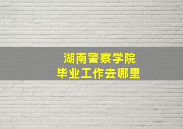 湖南警察学院毕业工作去哪里