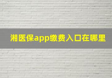 湘医保app缴费入口在哪里