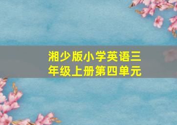 湘少版小学英语三年级上册第四单元