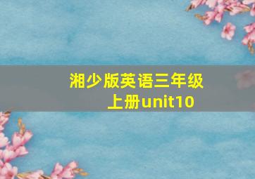 湘少版英语三年级上册unit10