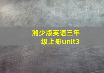 湘少版英语三年级上册unit3