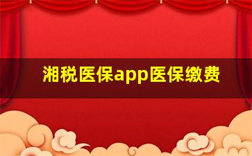 湘税医保app医保缴费