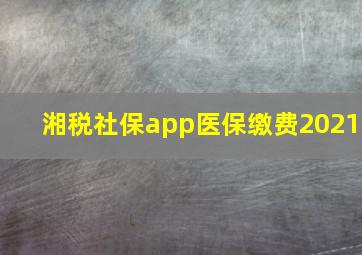 湘税社保app医保缴费2021